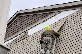 Best Historical Building Siding Restoration  in Little Walnut Village, NM